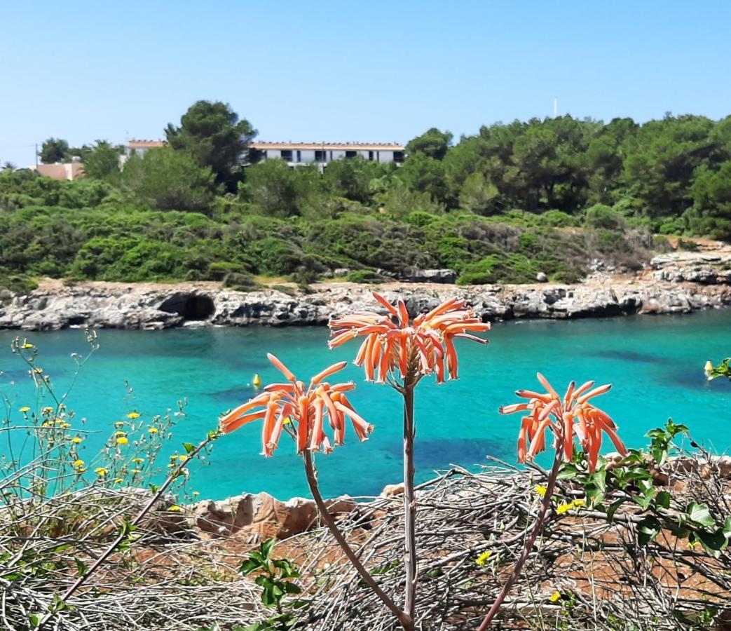 Atico Playa Santandria Con Piscina Y Wifi Villa Ciutadella  Exteriör bild